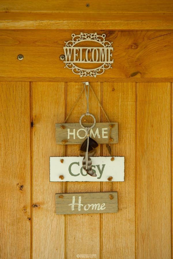 Sunset Cottage 브라쇼브 외부 사진