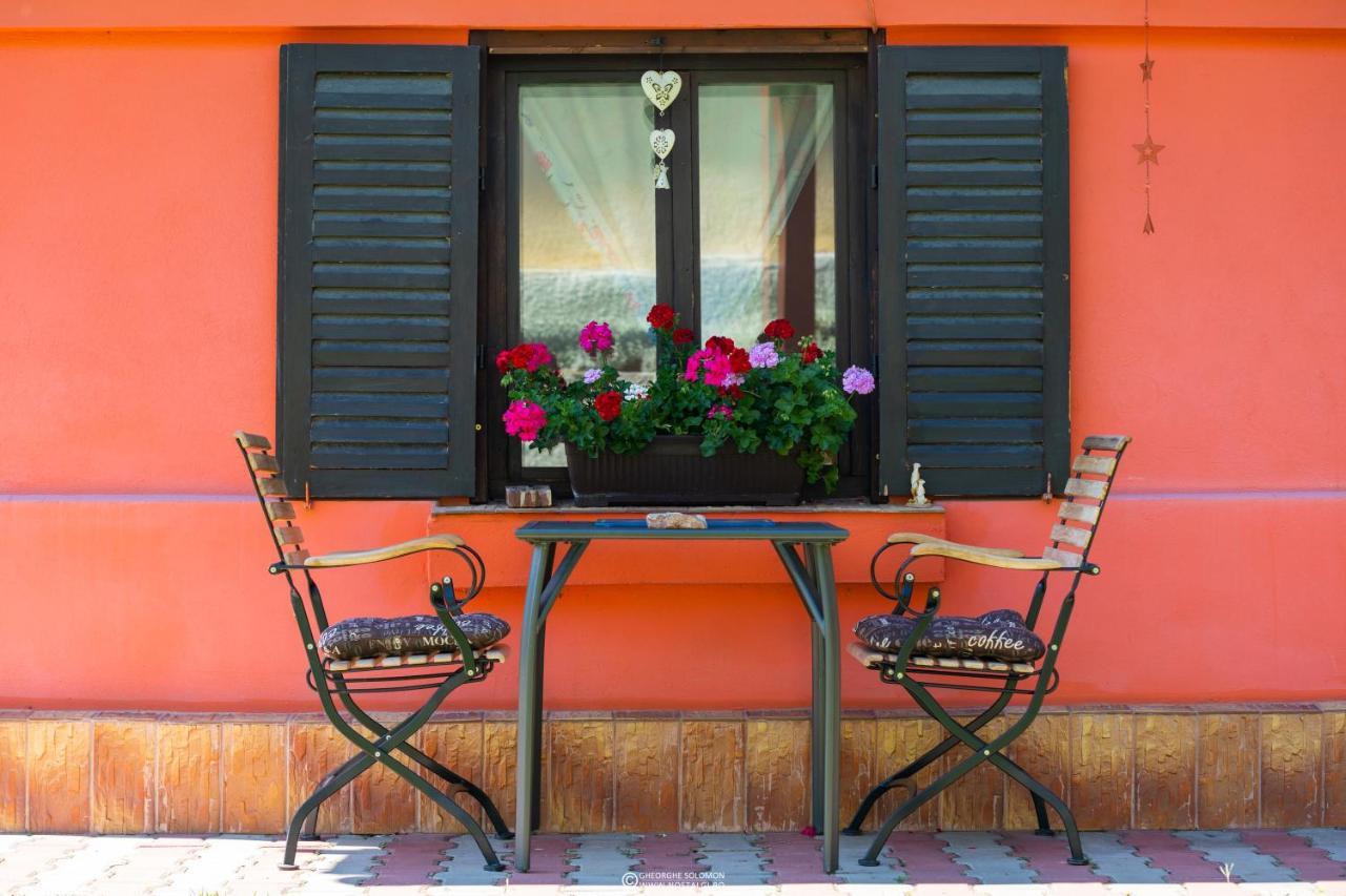 Sunset Cottage 브라쇼브 외부 사진